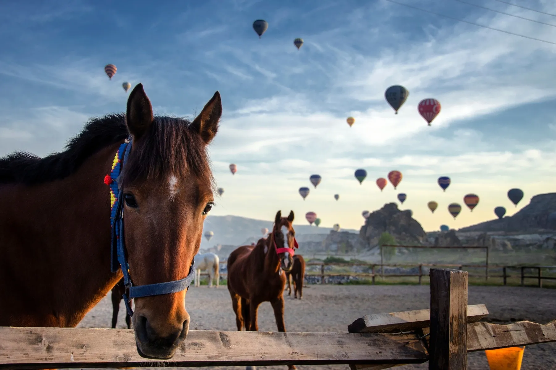 Cappadocia tour with accommodation