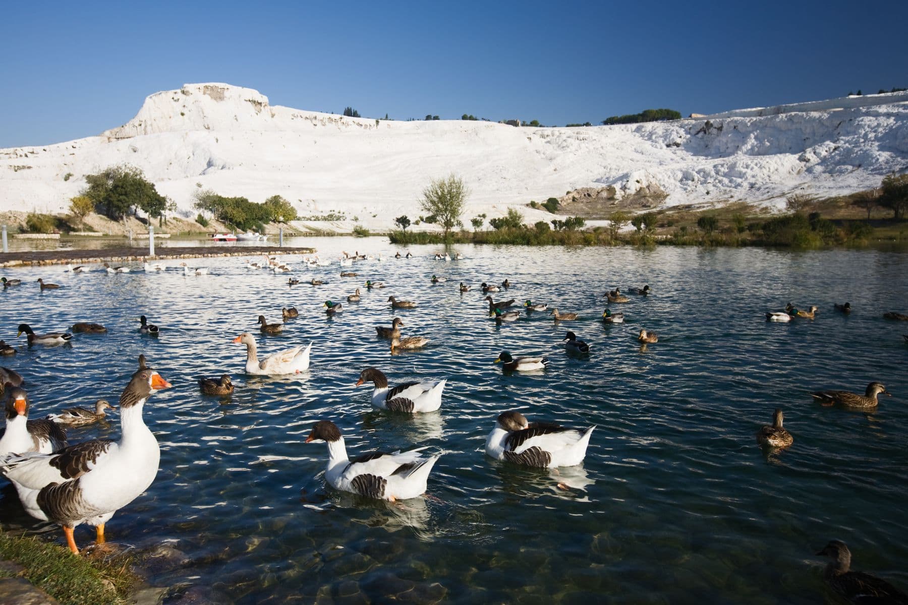 Private Pamukkale & Hierapolis & Cleopatra Pool