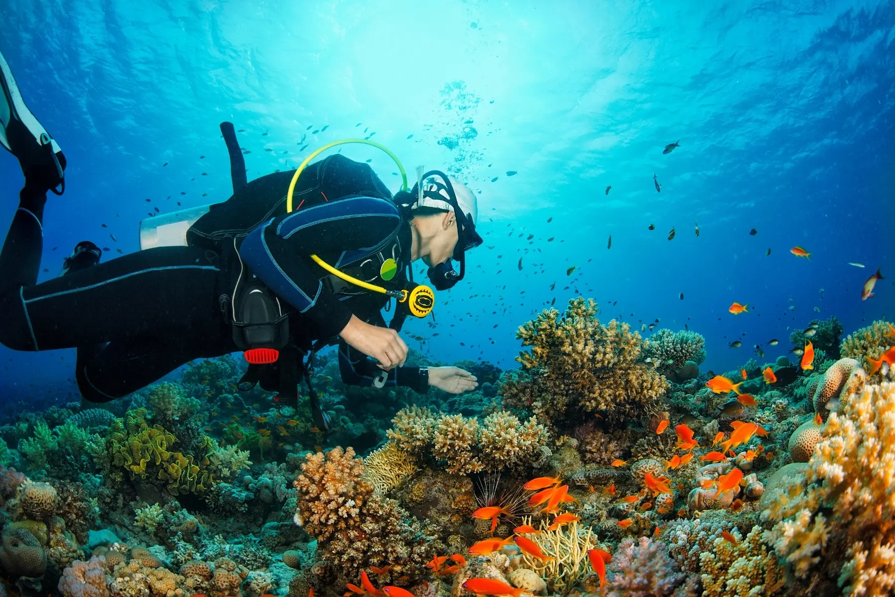 Antalya Diving Tour With Lunch