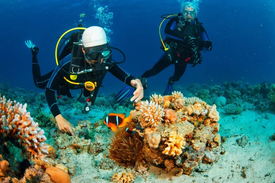 Antalya Diving Tour With Lunch