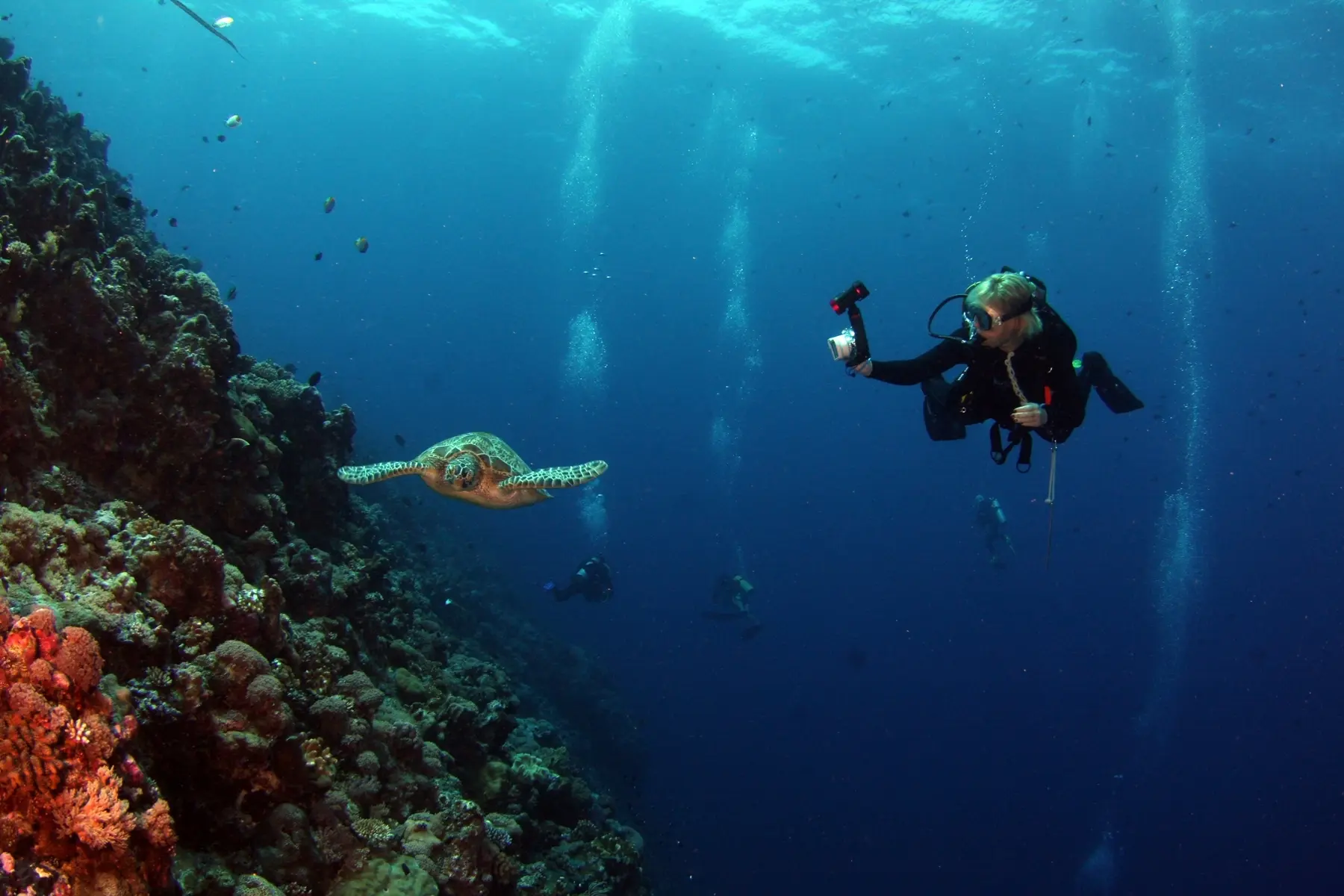 Antalya Diving Tour With Lunch